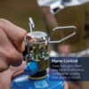 Bleuet Micro Plus